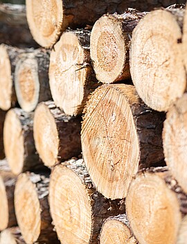 Holz als Baustoff