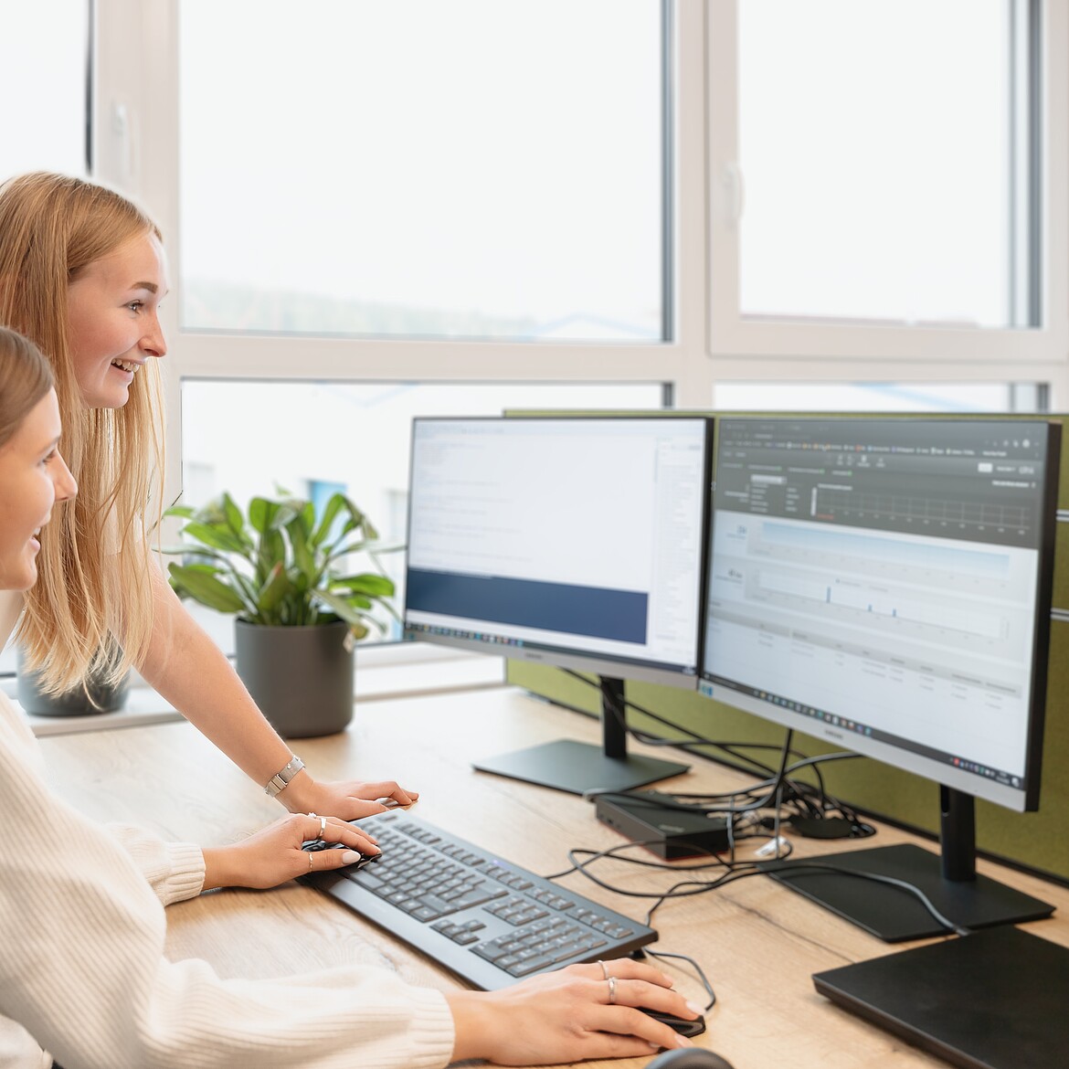 Mitarbeiter Technische Statikabwicklung (m/w/d) Fachinformatiker